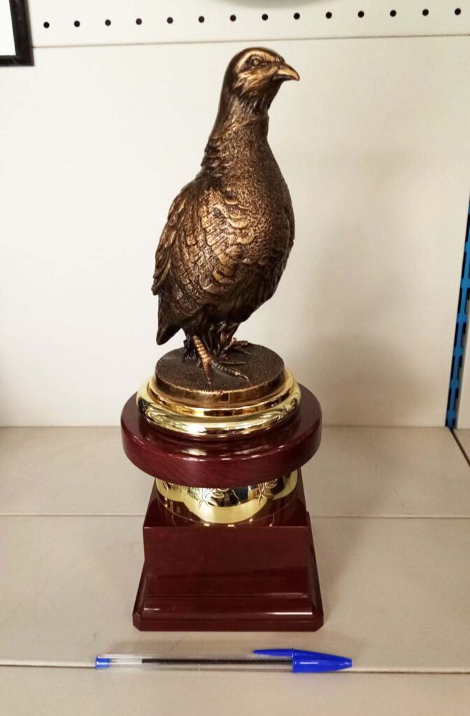 trofeo caccia occasione economico
