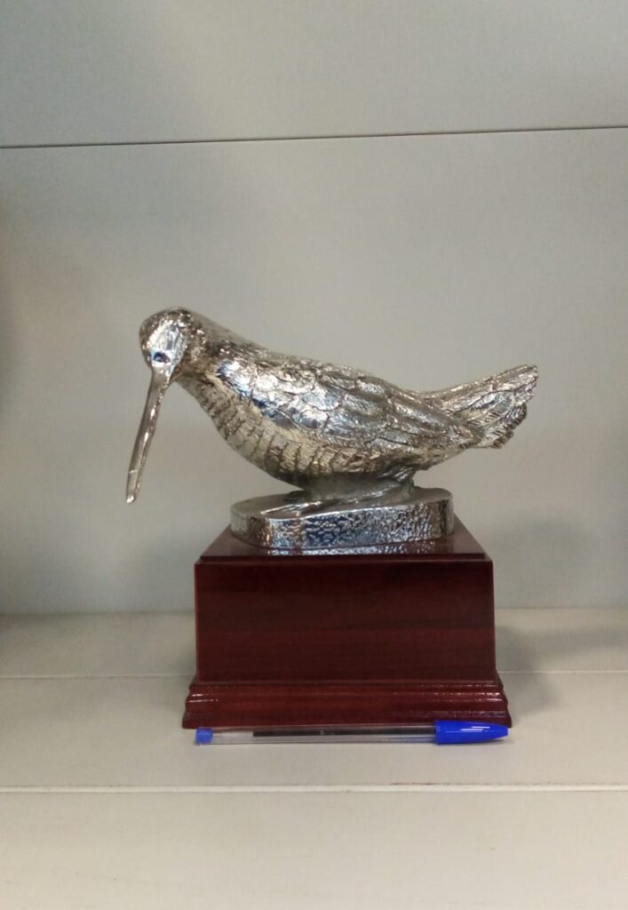 Trofeo caccia economico rappresentante una beccaccia