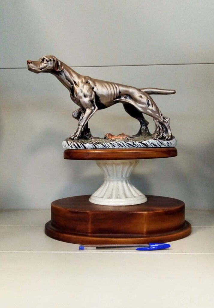 Trofeo caccia economico rappresentante cane