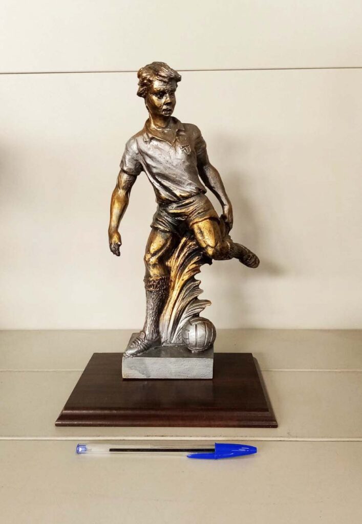 Trofeo calcio occasione