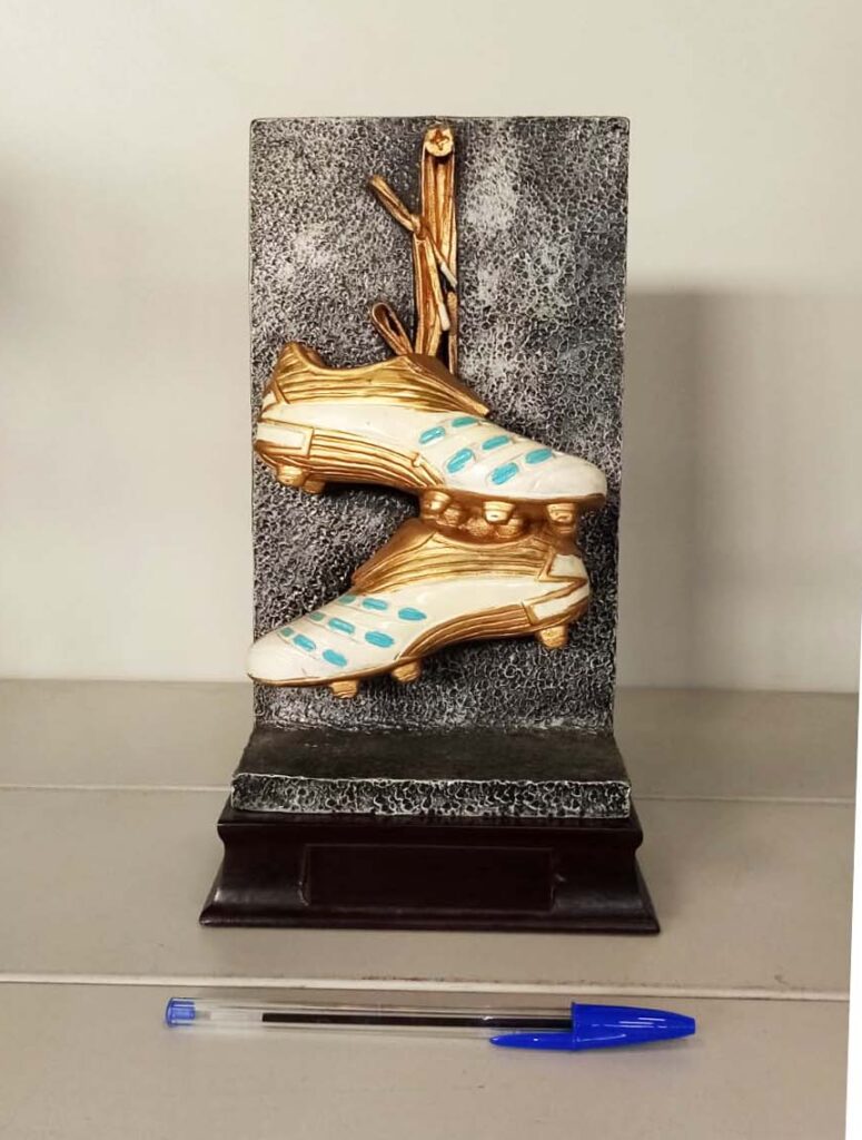 Trofeo calcio occasione