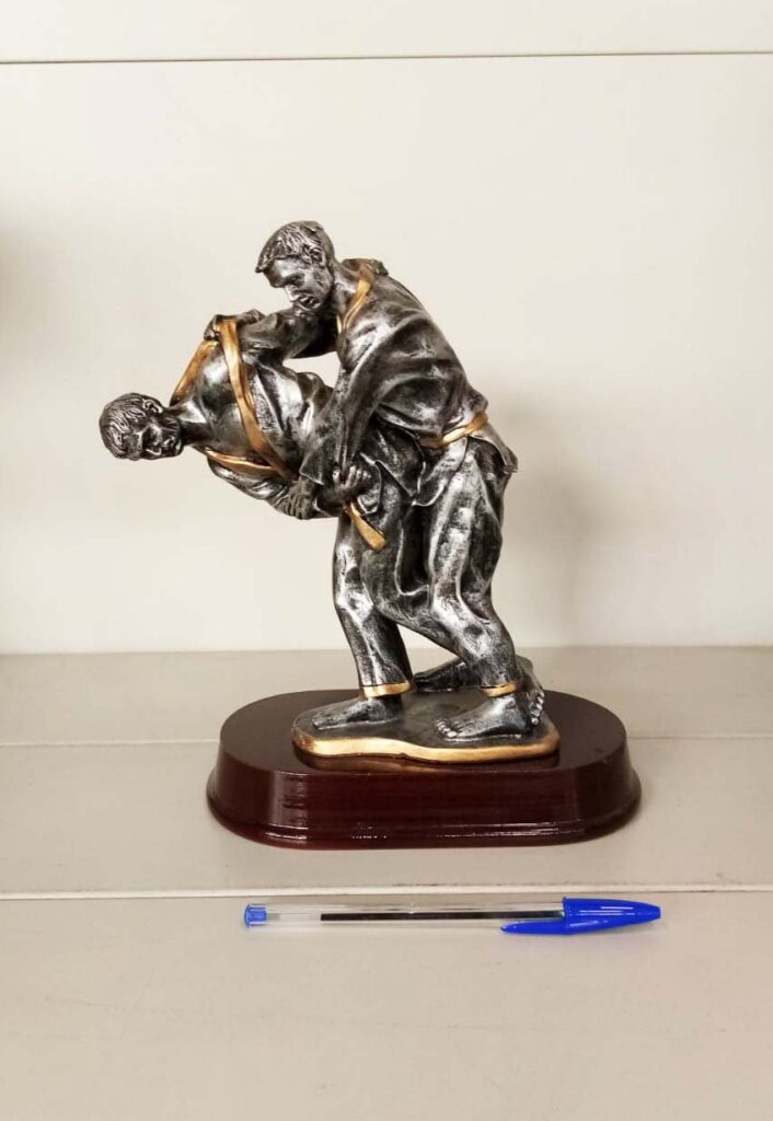 Trofeo karatè occasione