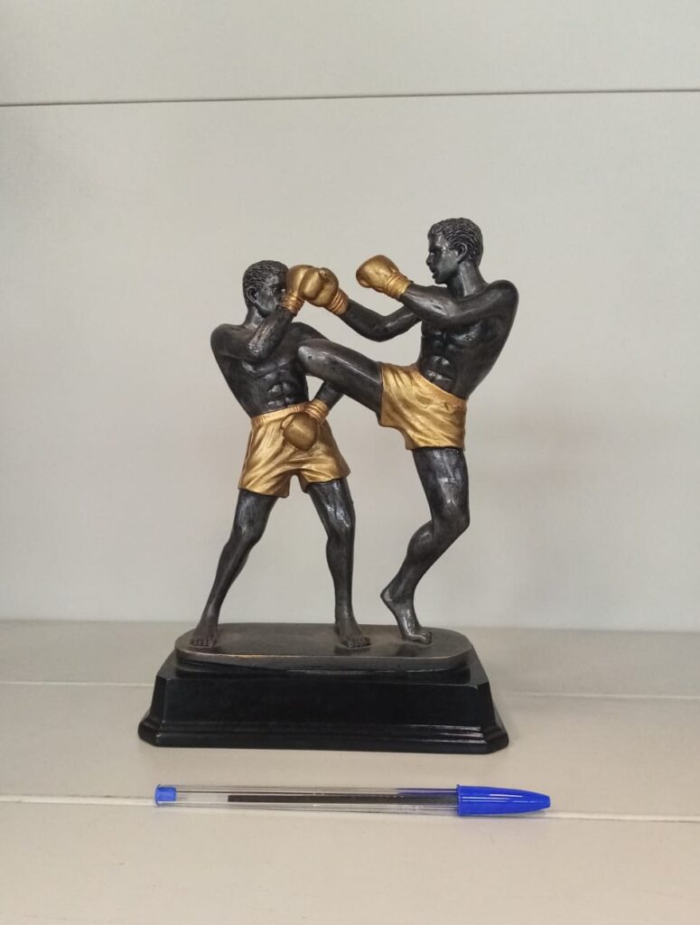 Trofeo economico kick boxing