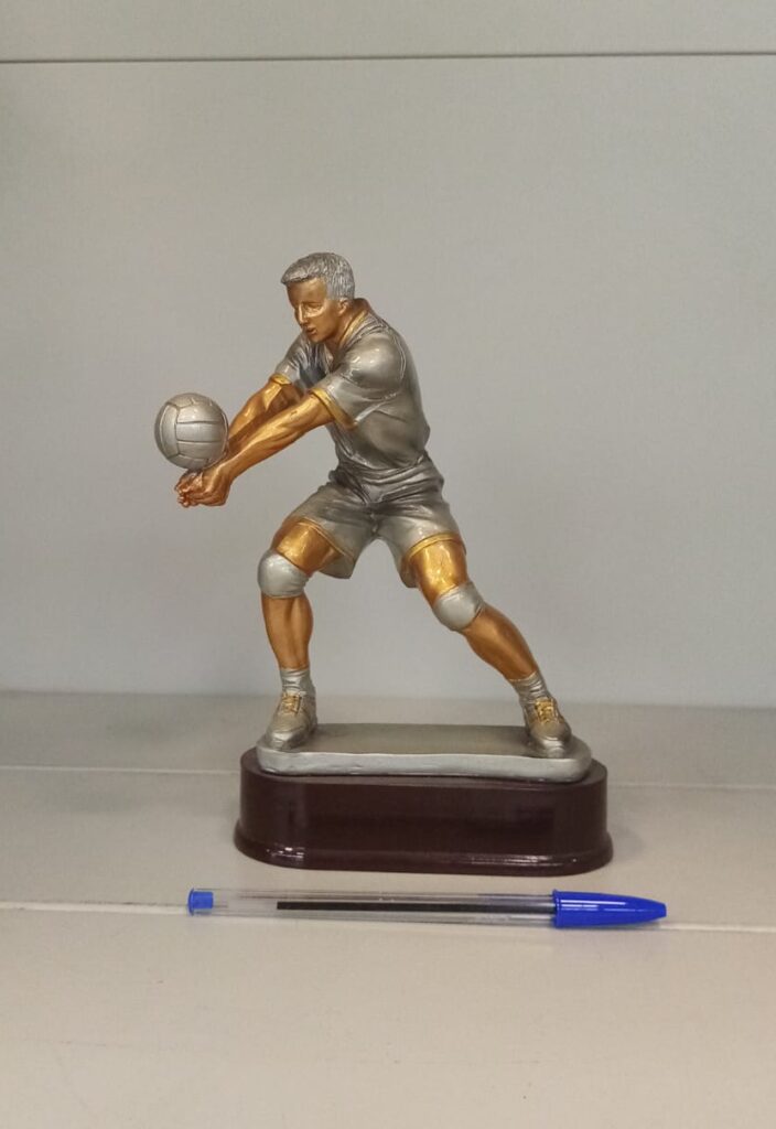 Trofeo economico soggetto pallavolo