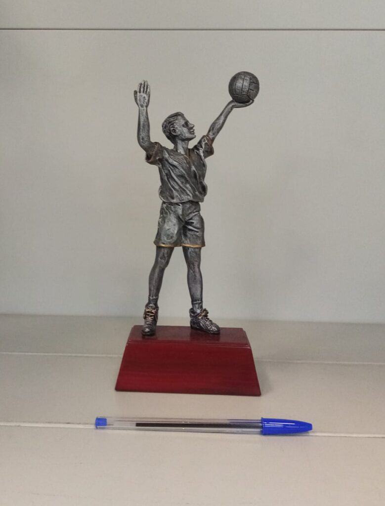 Trofeo economico soggetto pallavolo