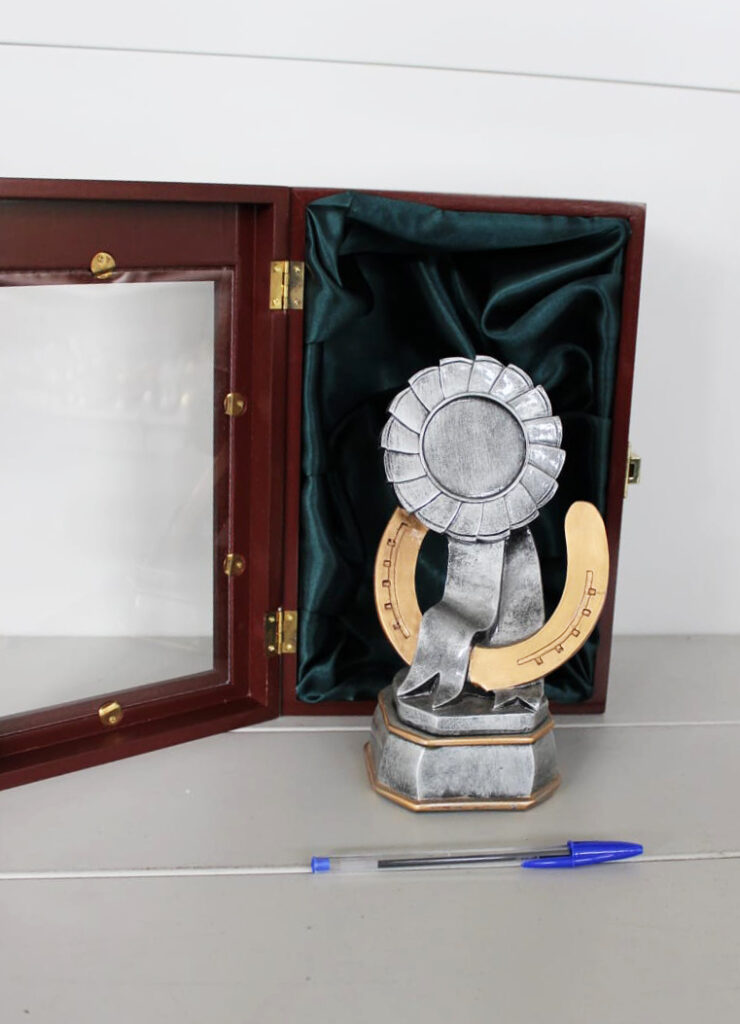 Trofeo equitazione economico