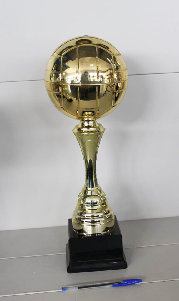 Occasione trofeo pallavolo