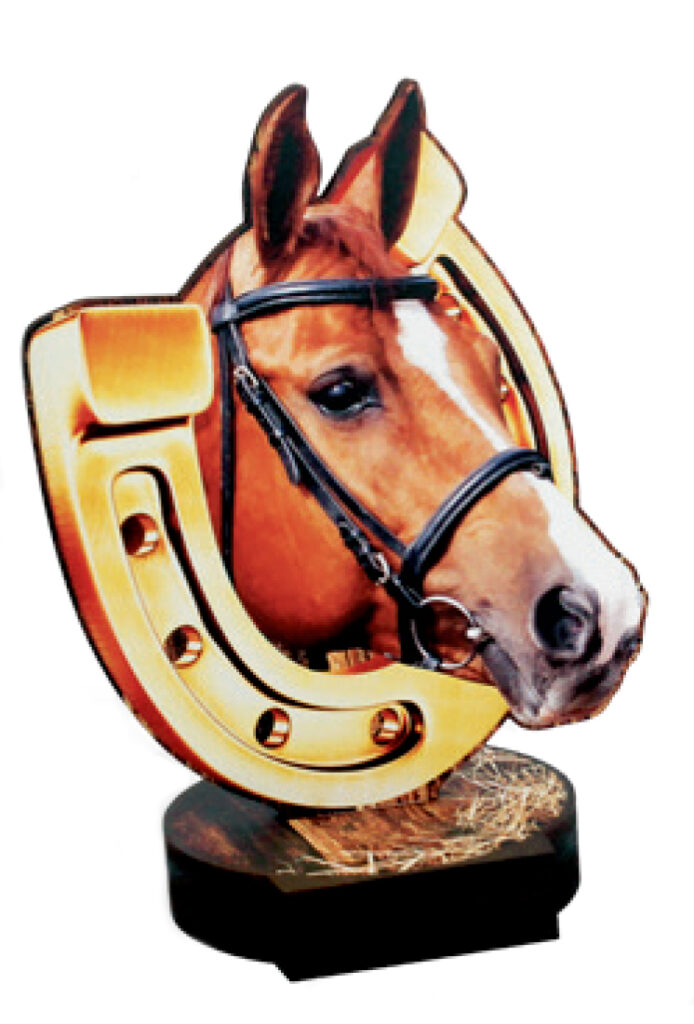 trofei ippica cavalli premiazioni