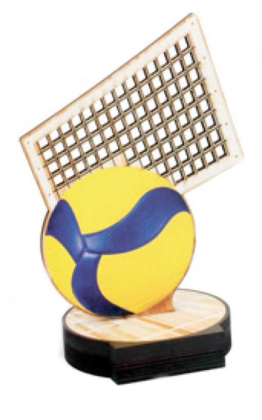 Trofei pallavolo personalizzabili con targhetta