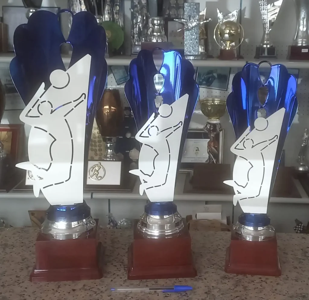 Occasioni sconti trofei pallavolo tornei volley brescia bergamo